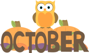 october-month-owl